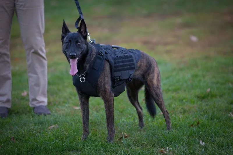 221B Tactical Titan Vest - Level IIIA K-9 Body Armor