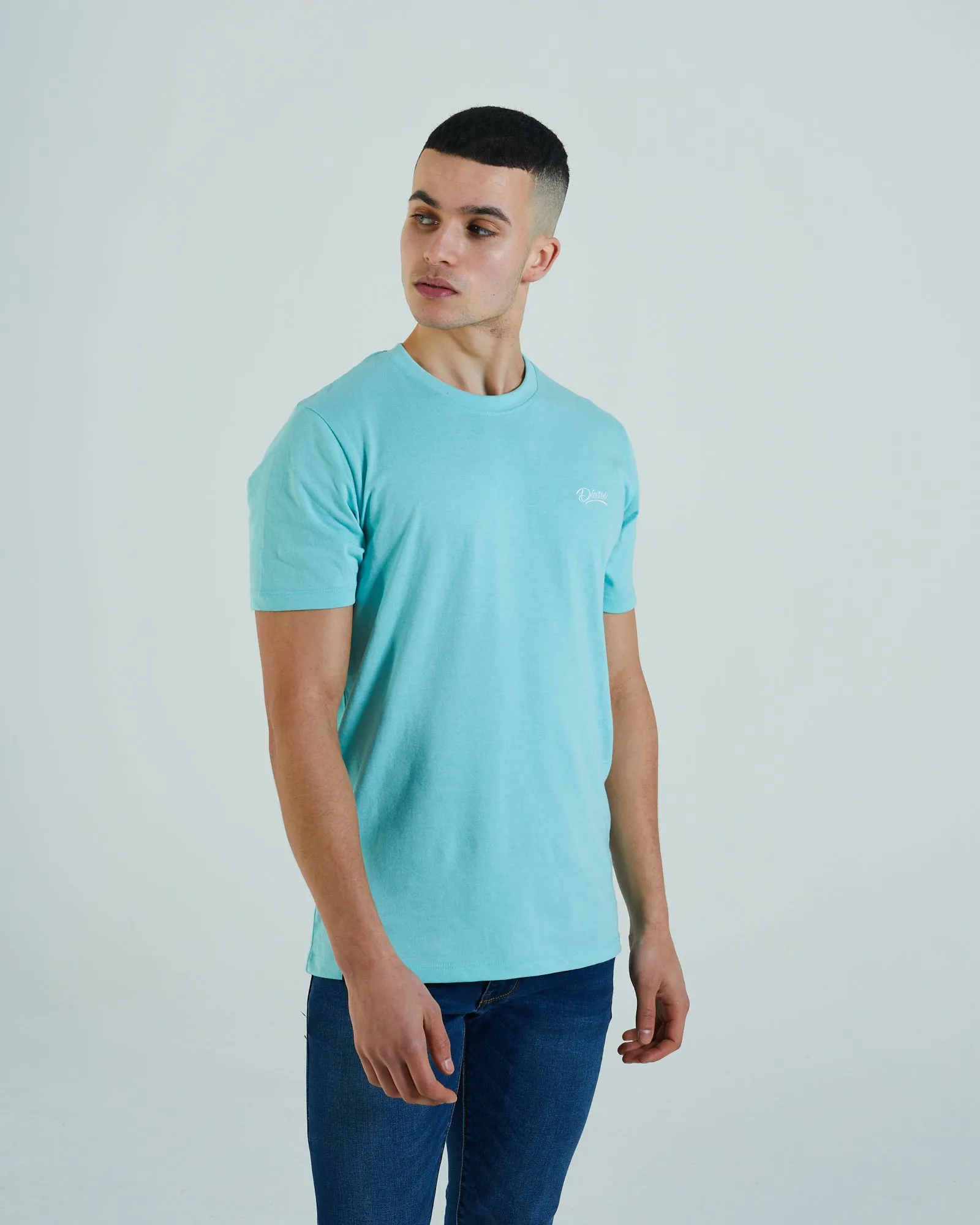 Basic Sky O Neck Mint Green