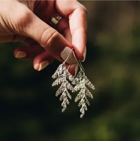 Cedar Earrings