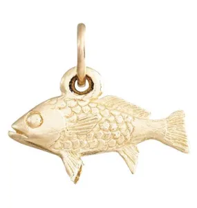 Fish Mini Charm