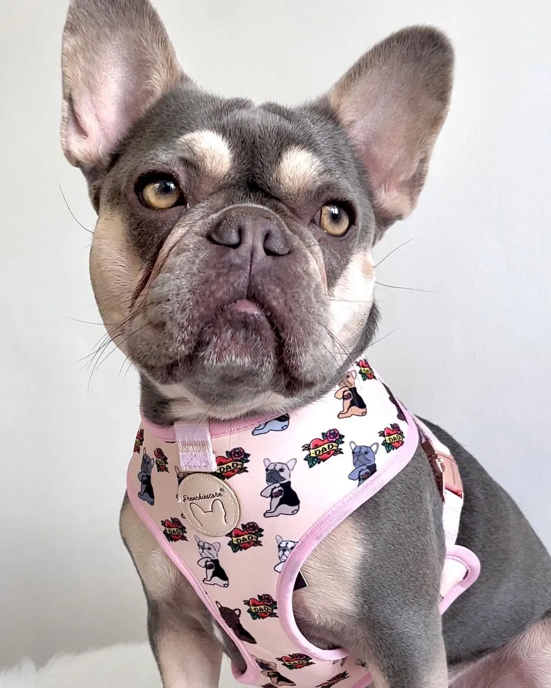 Frenchiestore Reversible Dog Health Harness | This Frenchie loves Mom/Dad in pink and tan