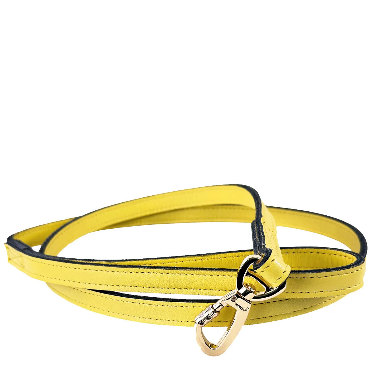 Mayfair Dog Leash in Canary Yellow, Sweet Pink & Gold