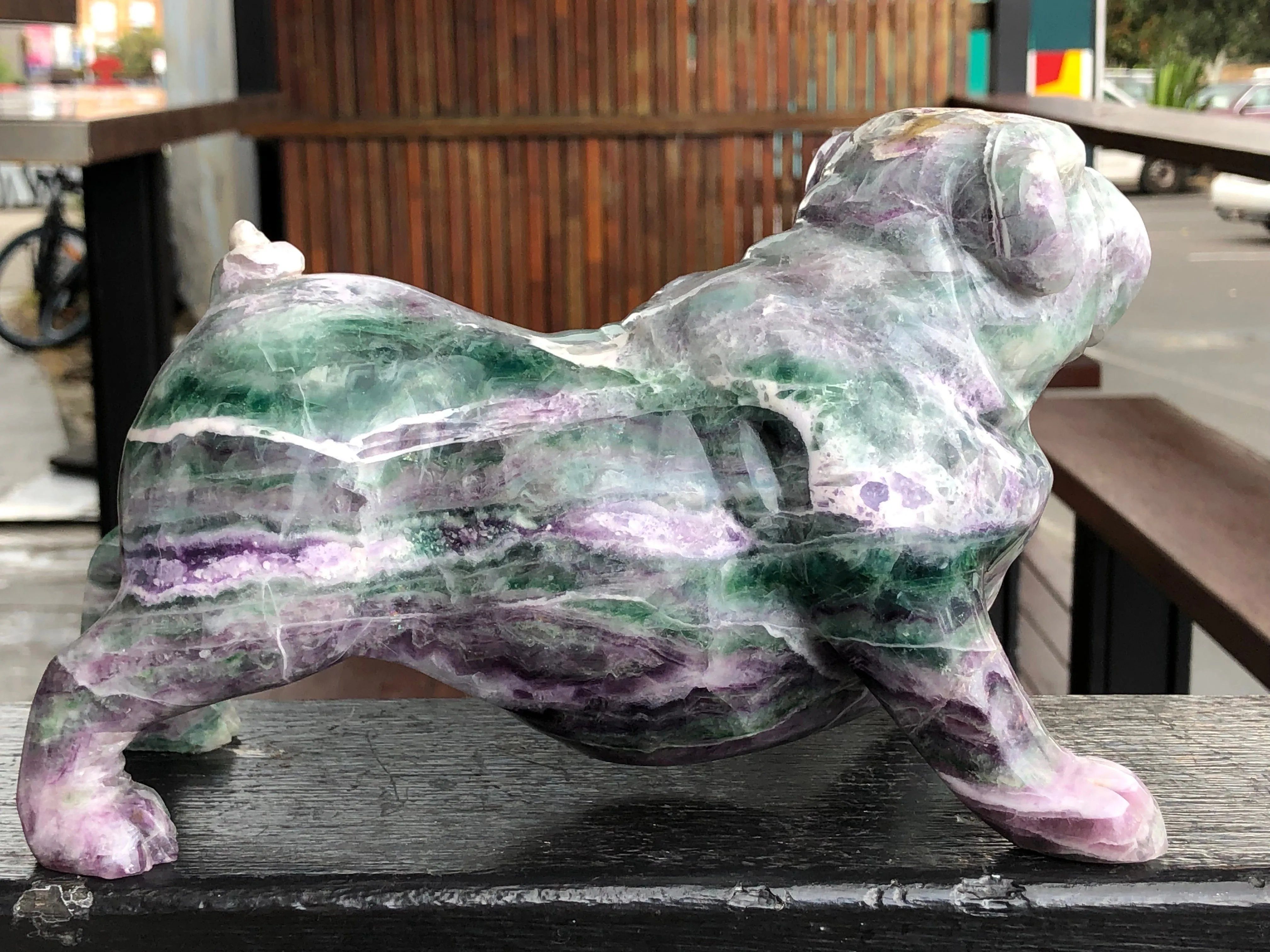 Rainbow Fluorite English/British Bull Dog [AR27]