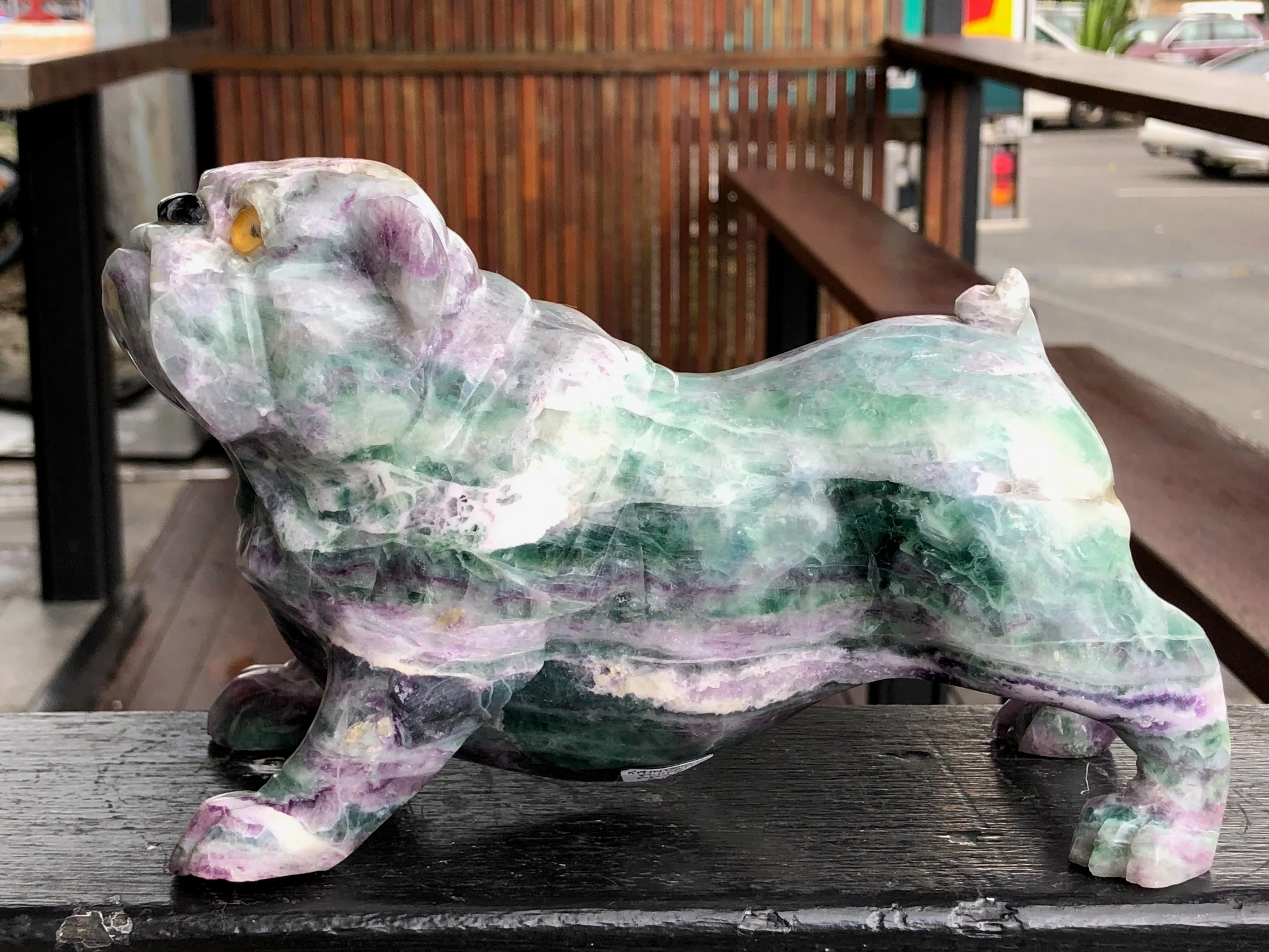 Rainbow Fluorite English/British Bull Dog [AR27]