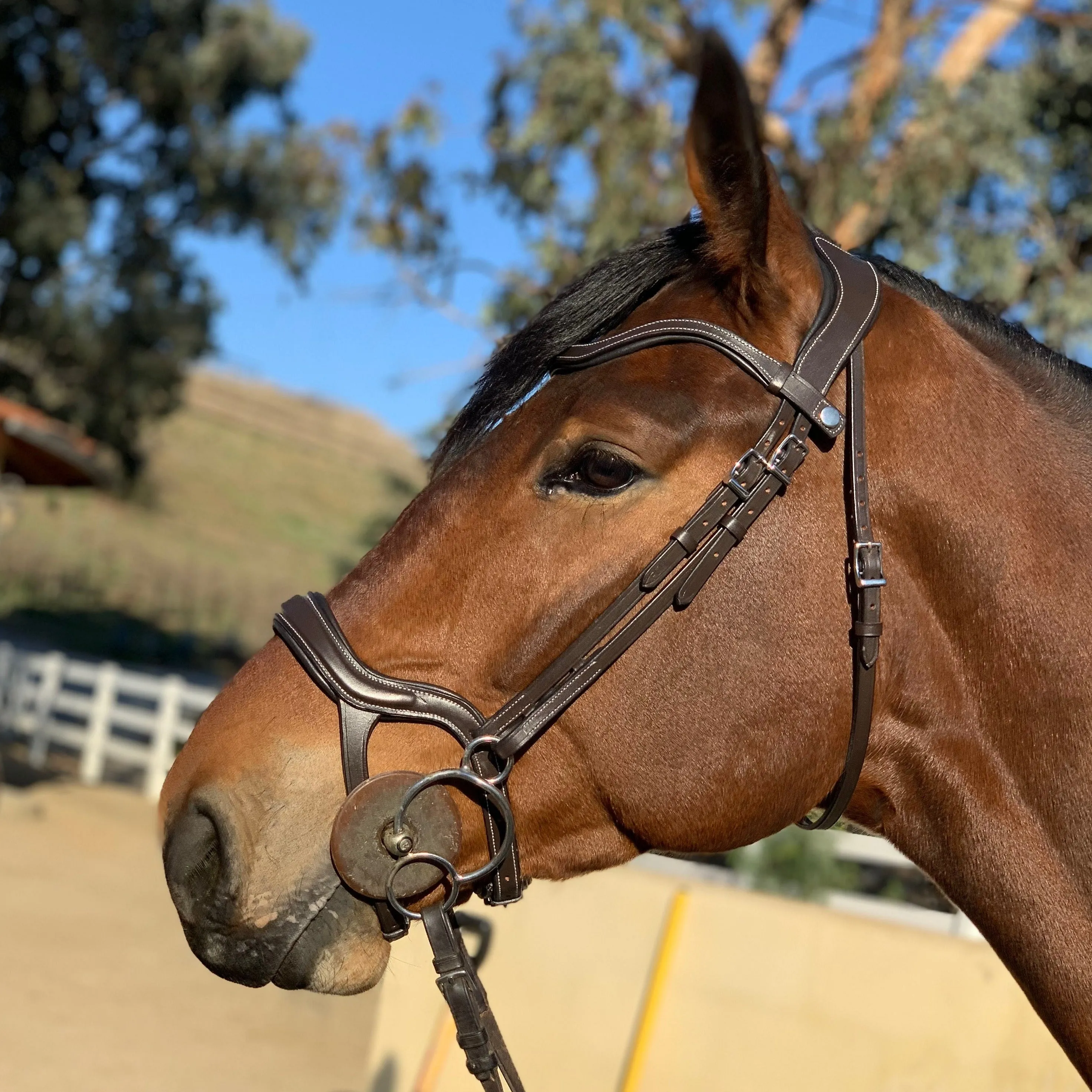 Remington - Brown Leather Anatomical Jumper Bridle