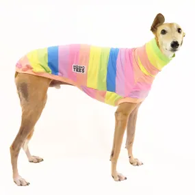 Roxi 2.0 Greyhound Sleeveless Tweater