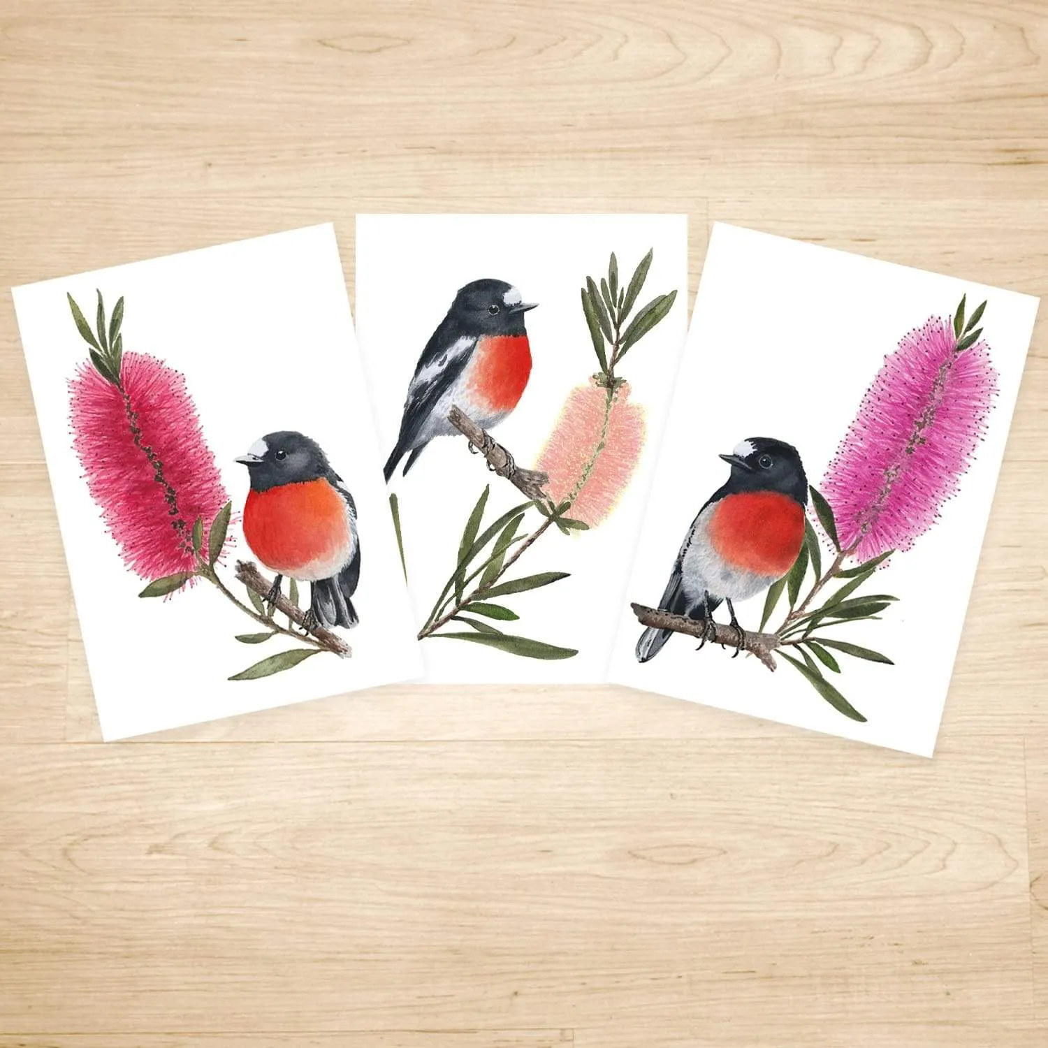 Scarlet Robin Art Print set of 3