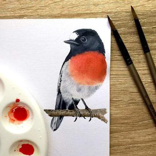 Scarlet Robin Art Print set of 3